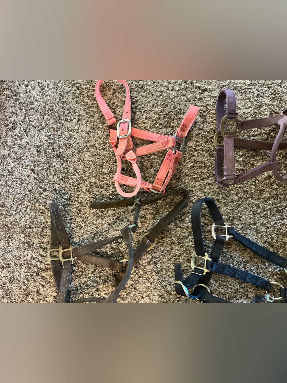 8 lot Horse equestrian TACK LOT BUNDLE. Halters, jolly ball, salt block holder.